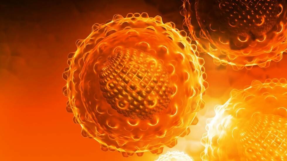 Un estudio revela que una enzima del champiñón es eficaz para combatir la hepatitis C