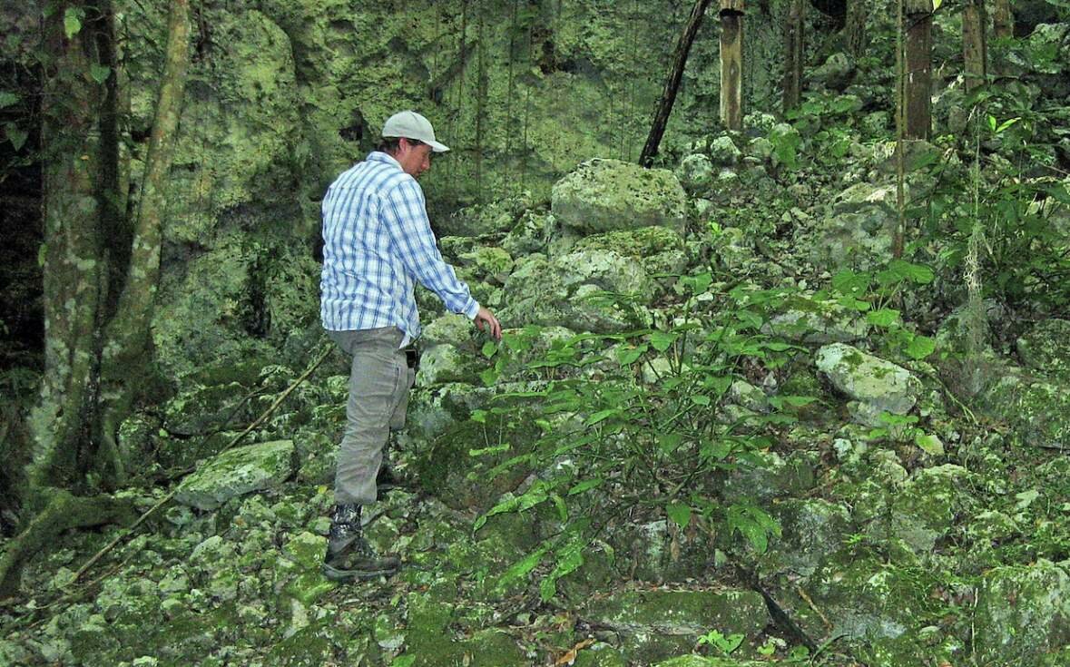 El investigador Chris Balzotti sube una antigua escalera descubierta en un bosque cerca de Coba, México/Richard Terry