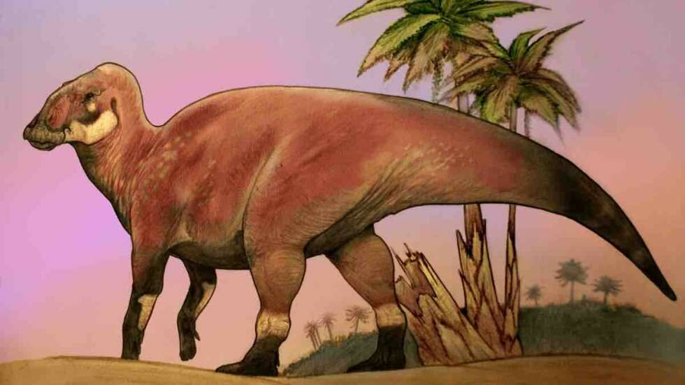 Identifican una nueva especie de dinosaurio en Río Negro