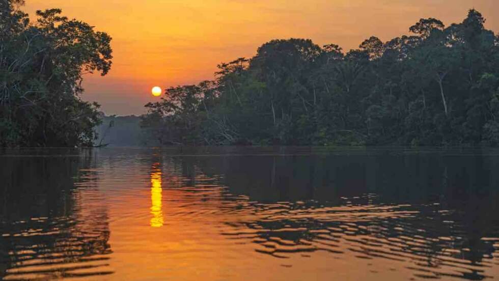 Estación de Biodiversidad Tiputini, un Centro De Investigación Para La Conservación Del Bosque Tropical Amazónico