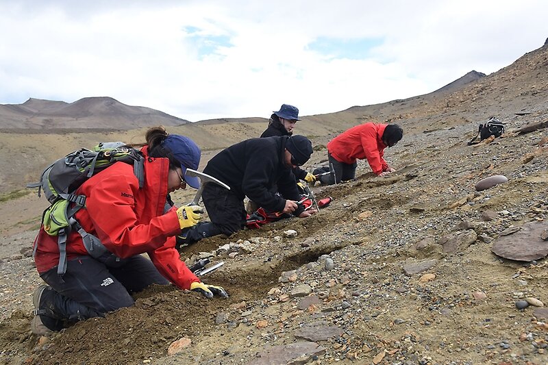Investigadores de la Universidad de Chile descubren nuevos registros de dinosaurios en la Patagonia