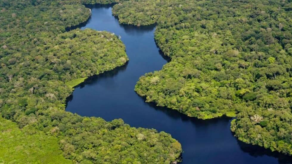 Amazonia, menos resiliente ante eventos extremos