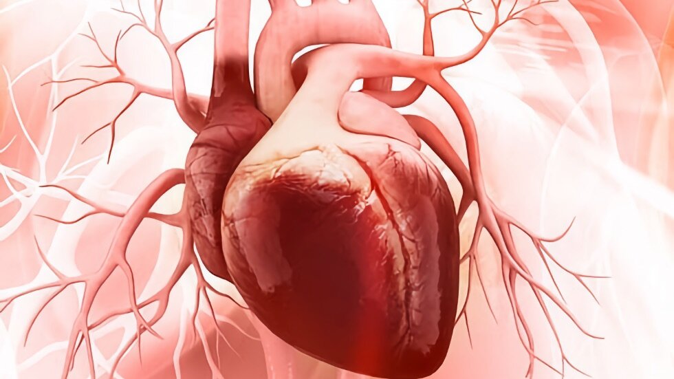 La combinación de dos proteínas inflamatorias predice el riesgo de amputación y de muerte por enfermedad cardiovascular