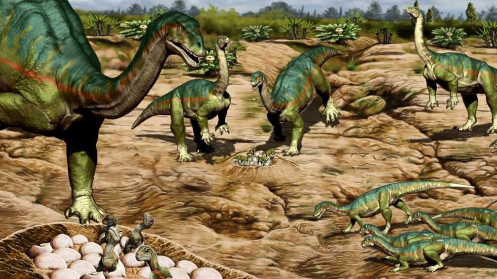 Primer registro de comportamiento social complejo en una especie primitiva de dinosaurio
