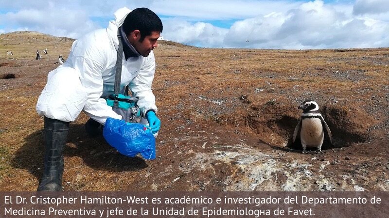 Universidad de Chile anuncia la creación de un centro de vigilancia de zoonosis y amenazas pandémicas