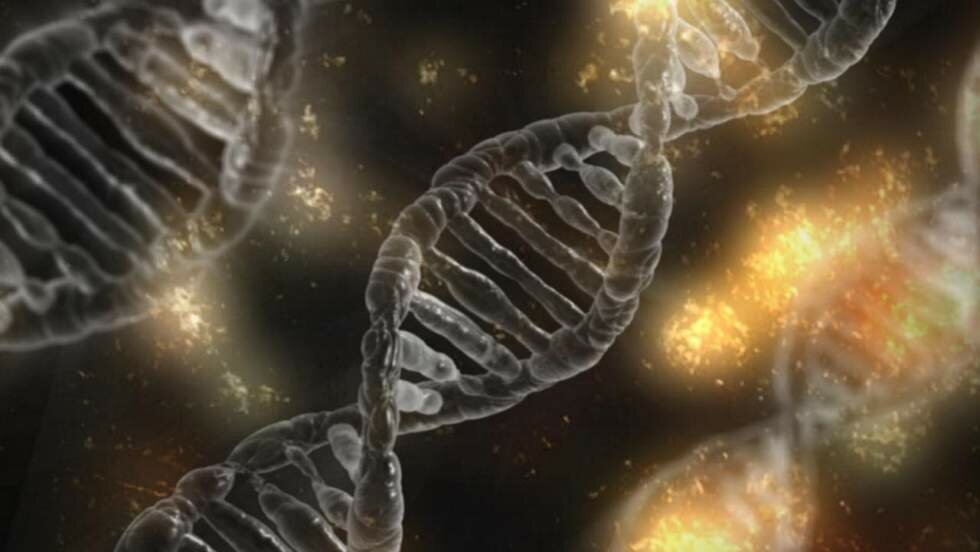 Científicos del CNIO y el Massachusetts General Hospital visualizan la reparación del material genético